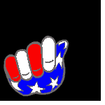 usa_flag.jpg